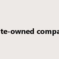 state-owned company是什么意思
