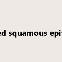 stratified squamous epithelium是什么意思