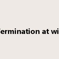 Termination at will是什么意思