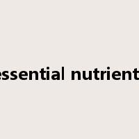 essential nutrients是什么意思