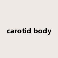 carotid body是什么意思