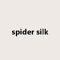 spider silk是什么意思