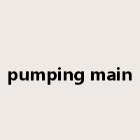 pumping main是什么意思