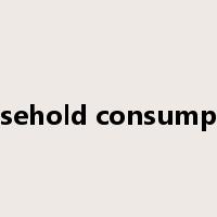 household consumption是什么意思