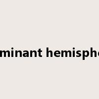 dominant hemisphere是什么意思