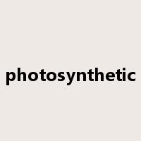 photosynthetic是什么意思