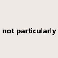 not particularly是什么意思