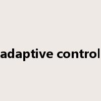 adaptive control是什么意思