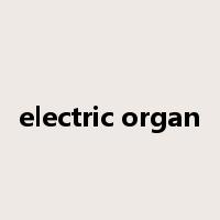 electric organ是什么意思