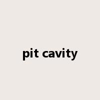 pit cavity是什么意思