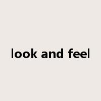 look and feel是什么意思