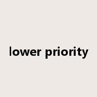 lower priority是什么意思