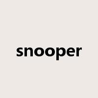snooper是什么意思