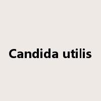 Candida utilis是什么意思