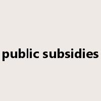 public subsidies是什么意思
