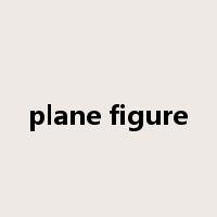 plane figure是什么意思