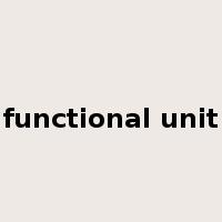 functional unit是什么意思