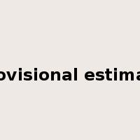 provisional estimate是什么意思