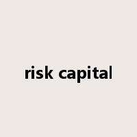 risk capital是什么意思