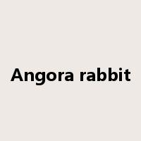Angora rabbit是什么意思