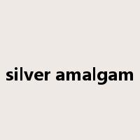 silver amalgam是什么意思