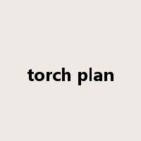 torch plan是什么意思