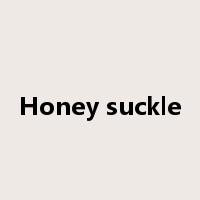 Honey suckle是什么意思
