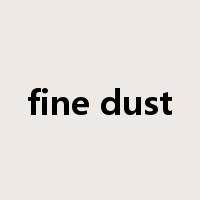 fine dust是什么意思