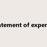 statement of expense是什么意思