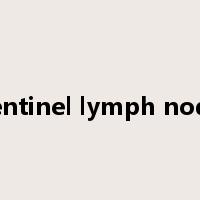 sentinel lymph node是什么意思