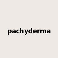 pachyderma是什么意思