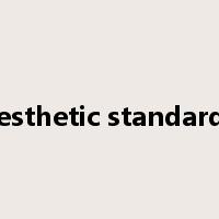 aesthetic standards是什么意思