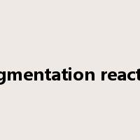 fragmentation reaction是什么意思
