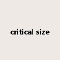 critical size是什么意思