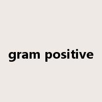 gram positive是什么意思