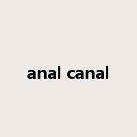 anal canal是什么意思