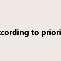 according to priority是什么意思