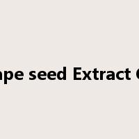 H&B grape seed Extract Capsules是什么意思