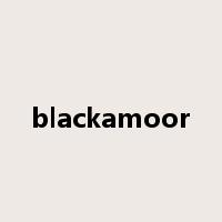 blackamoor是什么意思