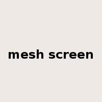 mesh screen是什么意思