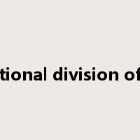 international division of labour是什么意思