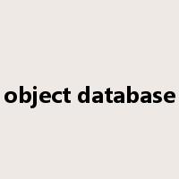 object database是什么意思