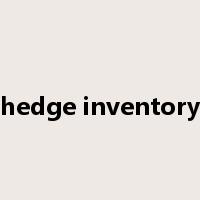 hedge inventory是什么意思