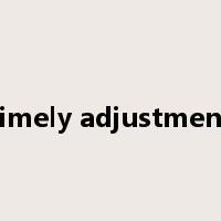 timely adjustment是什么意思