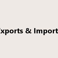Exports & Imports是什么意思