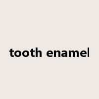 tooth enamel是什么意思