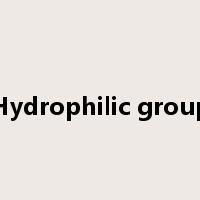 Hydrophilic group是什么意思