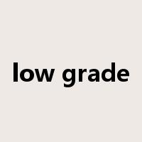 low grade是什么意思