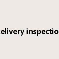 delivery inspection是什么意思