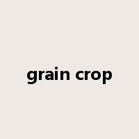 grain crop是什么意思